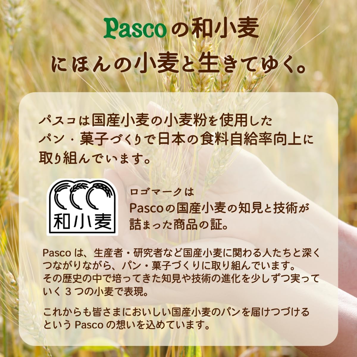 福袋 2026 食品 パン 詰め合わせ 19種23個 ロングライフパン Pasco 長期保存 惣菜パン 菓子パン 賞味期限50日 非常食