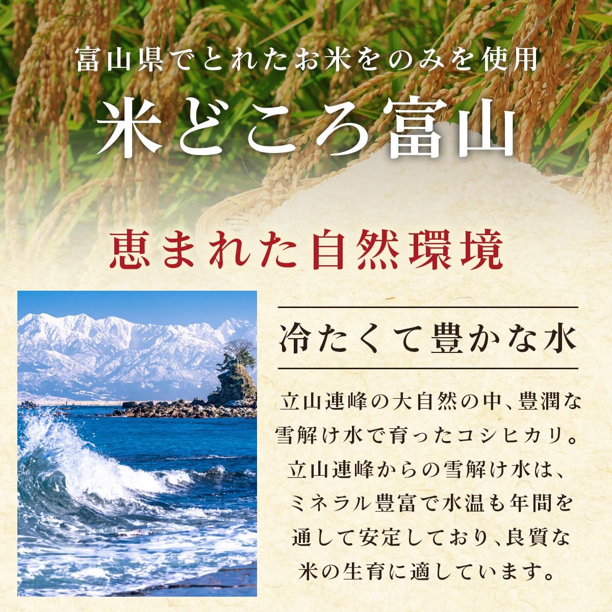 富山産 コシヒカリ 令和7年産 お米 冷めても美味しい