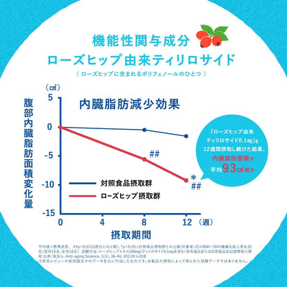 からだを想う オールフリー ノンアルコール ビール 350ml 24本