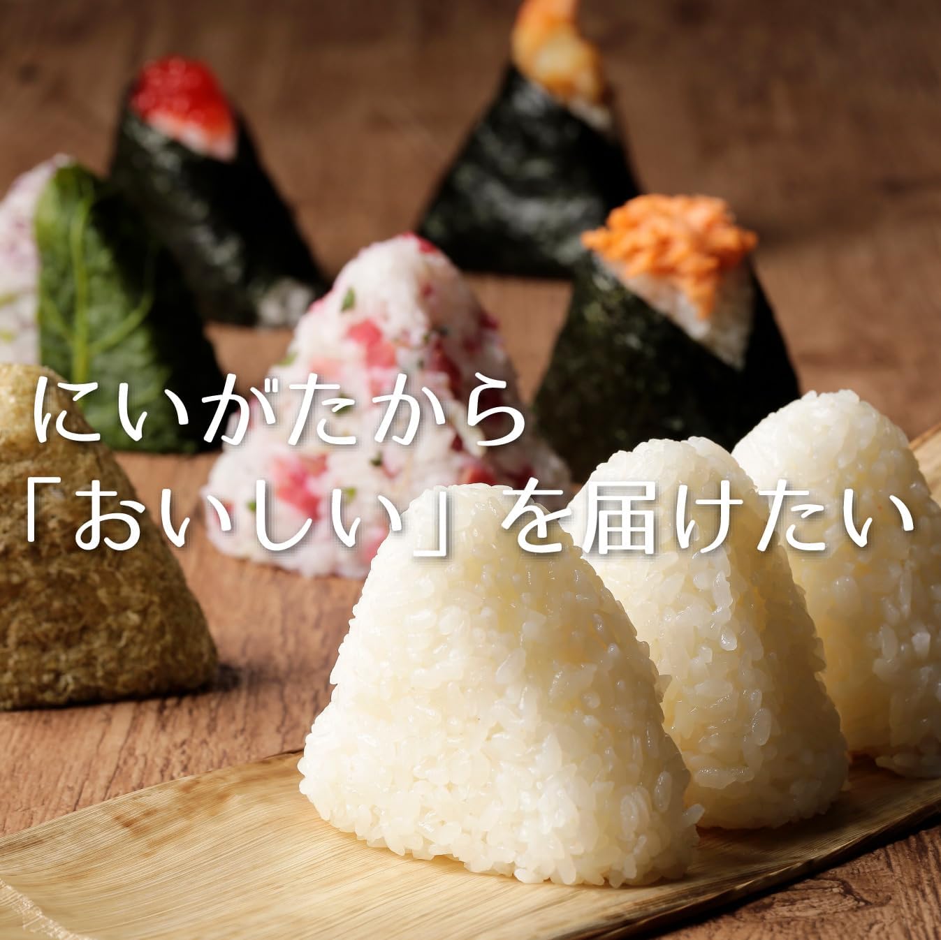 新潟ケンベイ 【精米】 新潟県産新之助 無洗米