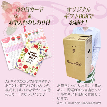 花のギフト社 母の日 花 カーネーション 母の日ギフト 鉢植え プレゼント レッド 6号