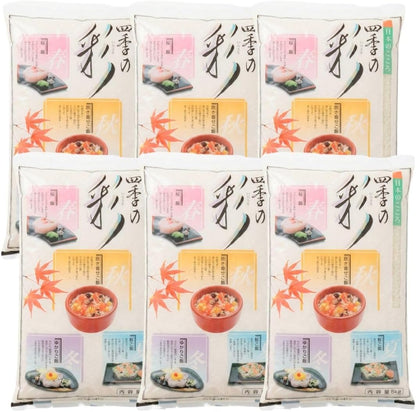 フクテイライス【白米】生活応援 お米 米 得福米 令和7年産