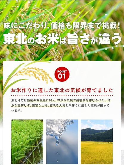 【こまち姫】米 5kg 令和7年産 東北産 こまち姫（オリジナルブレンド米）ギフト（5kg×1袋）