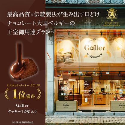 ガレー（Galler） クリスマス・お年賀・ギフト用（クッキー30枚入り・個包装・手さげ袋付き）