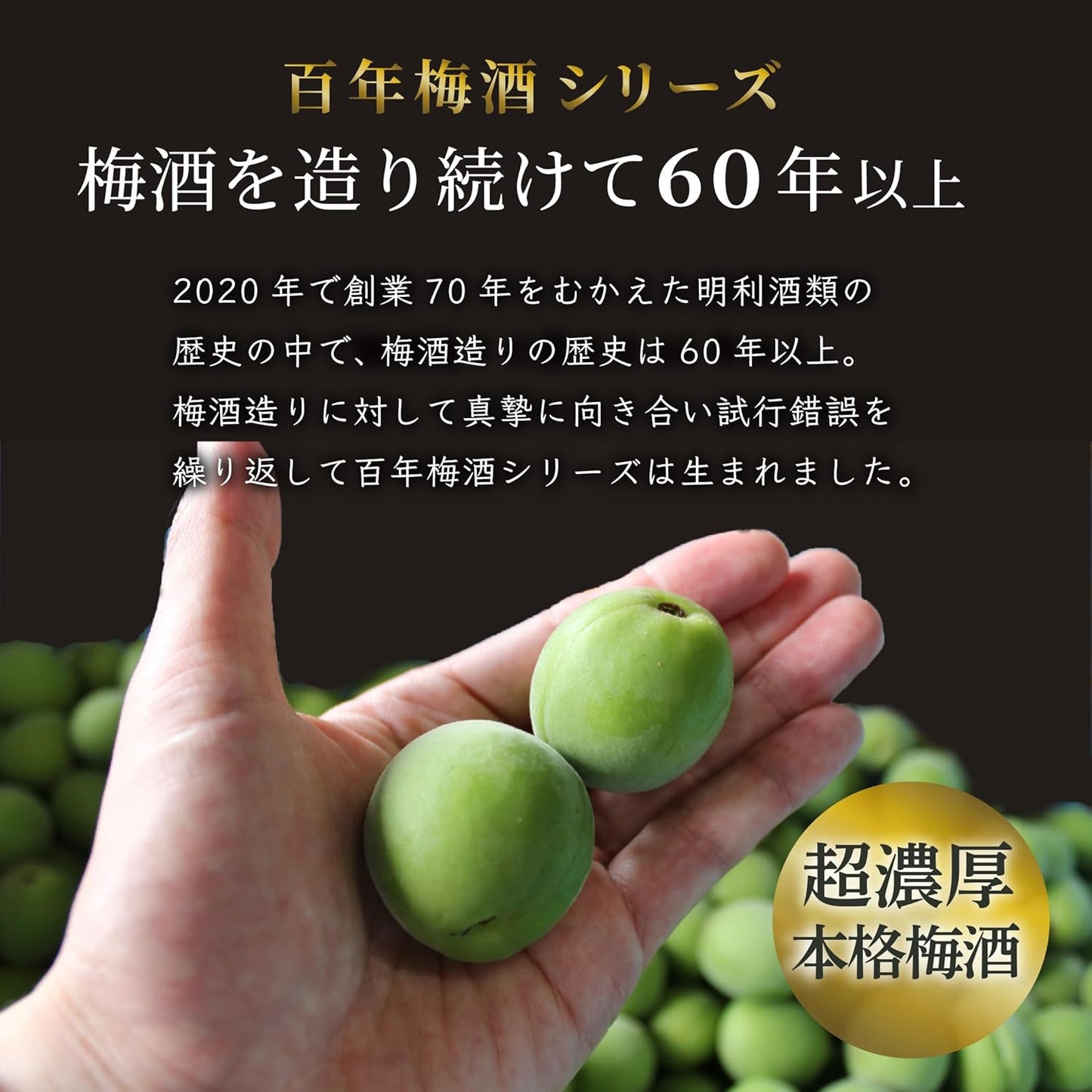 明利酒類 百年梅酒 CLASSIC 多治見焼き 14% 1000ml