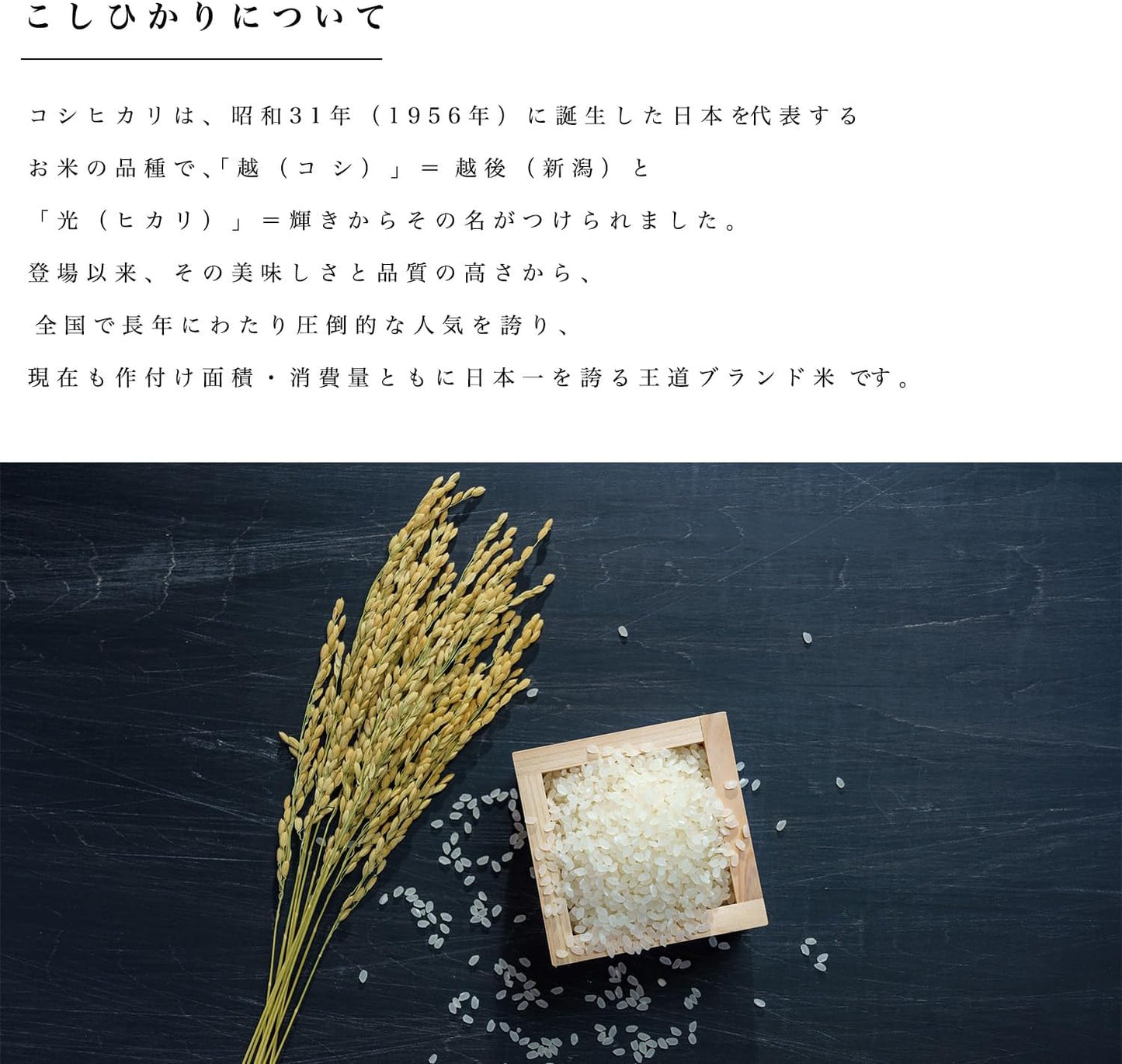 新潟県産コシヒカリ 和泉 ５kg 令和7年産【受注後精米 農家直送】