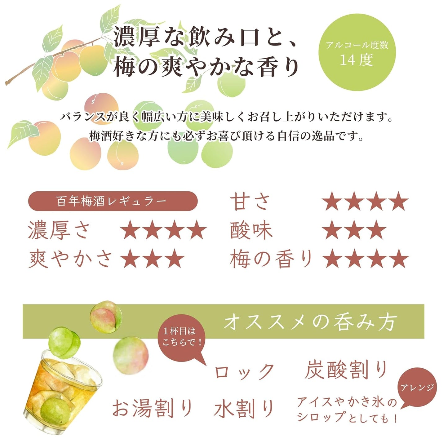 明利酒類 百年梅酒 CLASSIC 多治見焼き 14% 1000ml
