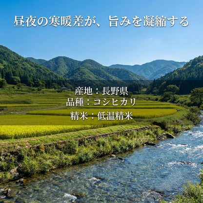 野沢農産 コシヒカリ 長野県産 令和7年産 通常精米 冷めても粒感が続くお弁当・おにぎり向け 寒暖差育ちの信州米