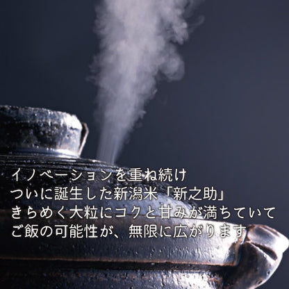 新潟ケンベイ 【精米】 新潟県産新之助 無洗米
