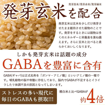 雑穀米本舗 明日への輝き39穀米ブレンド 1kg(1袋) 混ぜるだけ 国産 発芽玄米 スーパーフード 無添加 無着色 もっちり 雑穀米