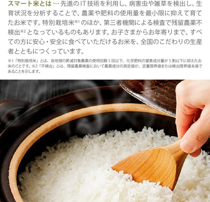 まっしぐら 青森県産 5kg（白米・精米・令和7年産・残留農薬不検出）