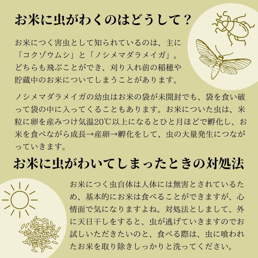 スマート米 米 玄米 無洗米 5kg 兵庫県丹波篠山産 コシヒカリ 令和7年産 残留農薬不検出 定期便 国産米