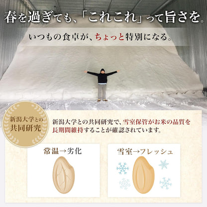 米 5kg 新潟県産 コシヒカリ 令和7年産｜雪室保管・精米したて｜粒感しっかり 冷めてもおいしい お米 こしひかり｜旨い米なら、これこれ