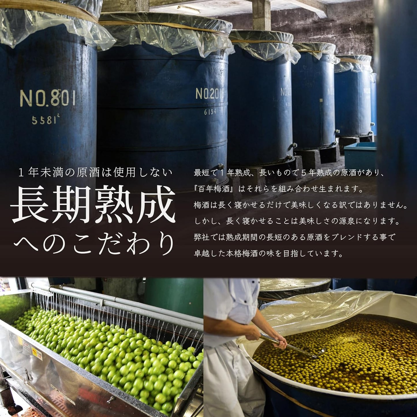 明利酒類 百年梅酒 CLASSIC 多治見焼き 14% 1000ml