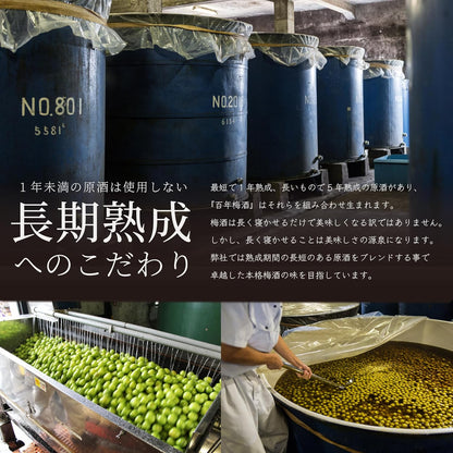 明利酒類 百年梅酒 CLASSIC 多治見焼き 14% 1000ml