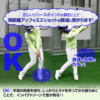 ダイヤゴルフ（DAIYA GOLF） ダイヤスイングシリーズ スイング練習器具 1個