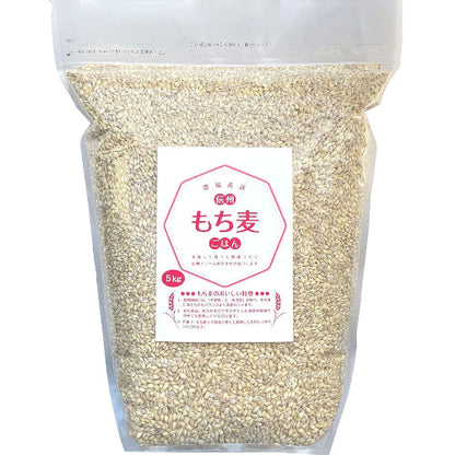 信州ファーム荻原 もち麦 ごはん 5kg 長野県 信州産 国産 精麦 食物繊維 大麦 もちもち