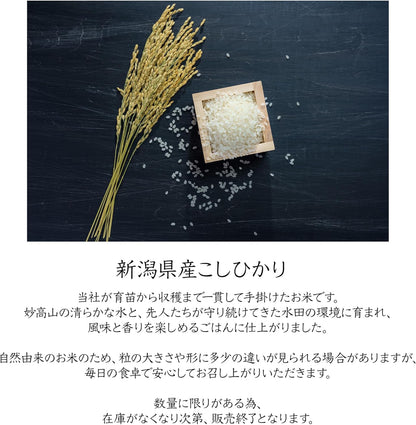【まいにち米B +】新潟県産こしひかり 5kg 令和7年産【農家直送 受注精米】