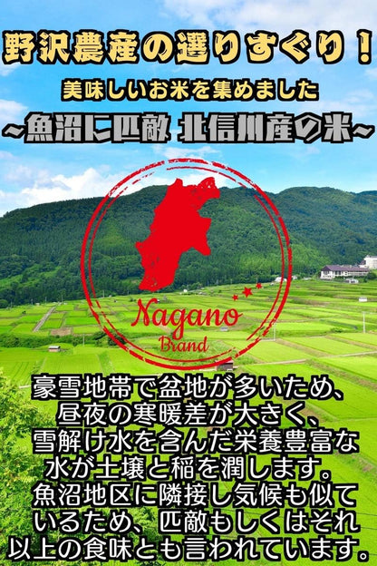 野沢農産 令和7年産 米 お米 無洗米 特別栽培米 コシヒカリ ぶなの水 長野県北信産