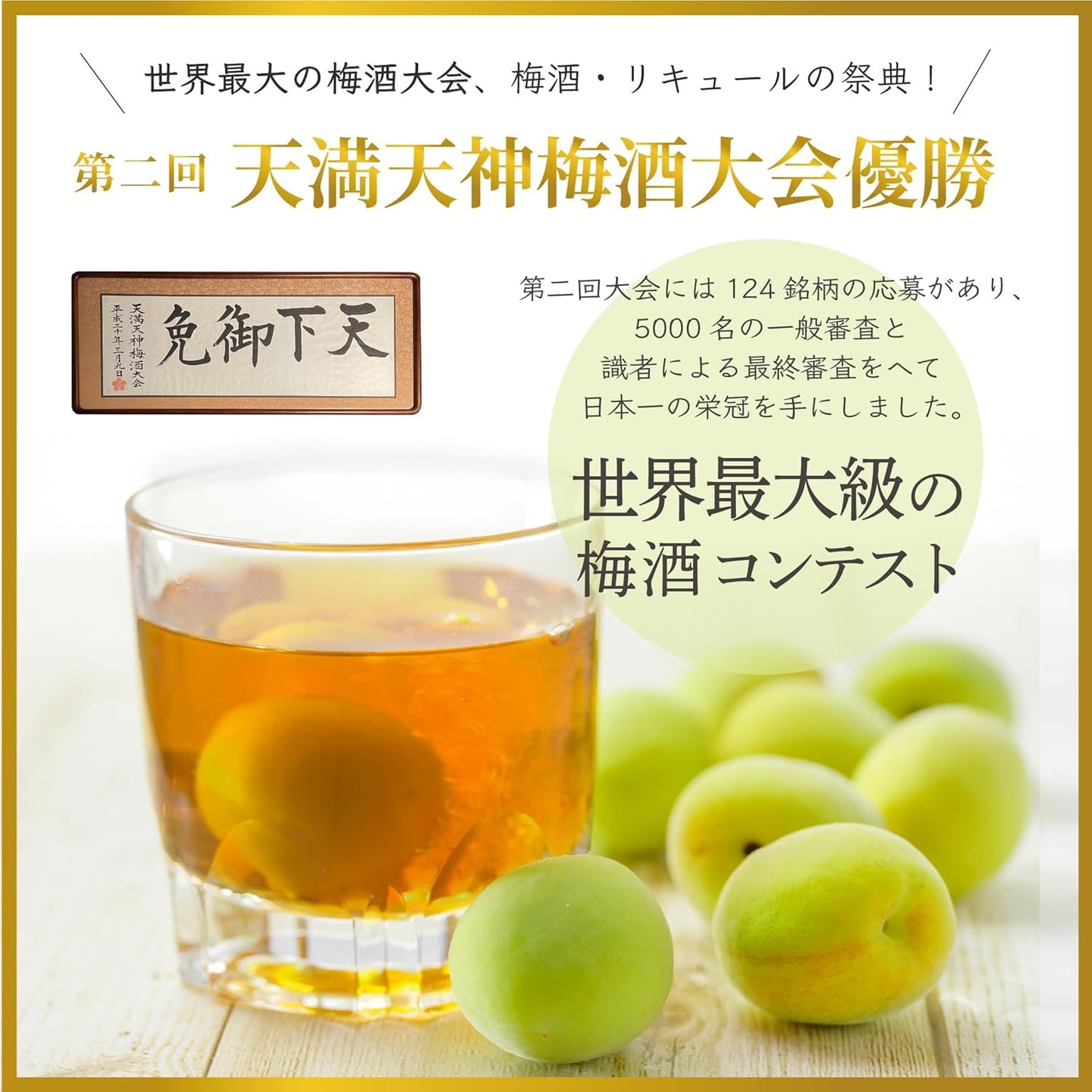 明利酒類 百年梅酒 CLASSIC 多治見焼き 14% 1000ml