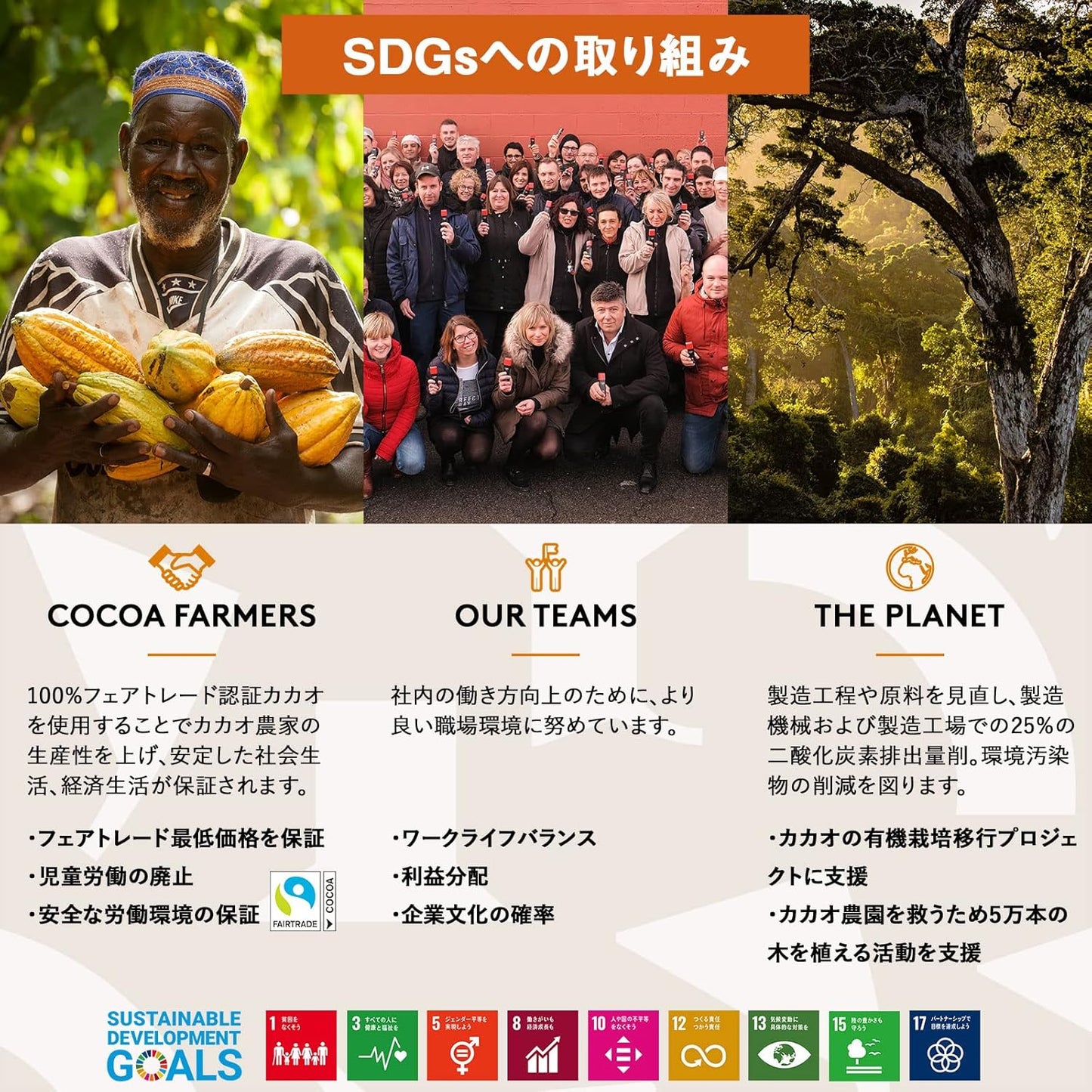 ガレー（Galler） クリスマス・お年賀・ギフト用（クッキー30枚入り・個包装・手さげ袋付き）