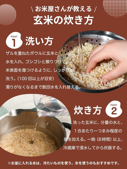 野沢農産 米 コシヒカリ 令和7年産 長野県産