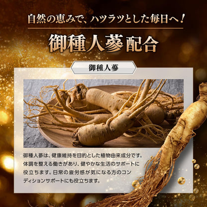 GRIFFX ActiveCore (グリフィス アクティブコア)高麗人参 シトルリン マカ 亜鉛 アルギニン 栄養機能食品 厳選成分配合 サプリ 国内生産 30錠入り