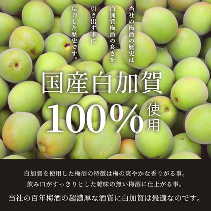 明利酒類 百年梅酒 CLASSIC 多治見焼き 14% 1000ml