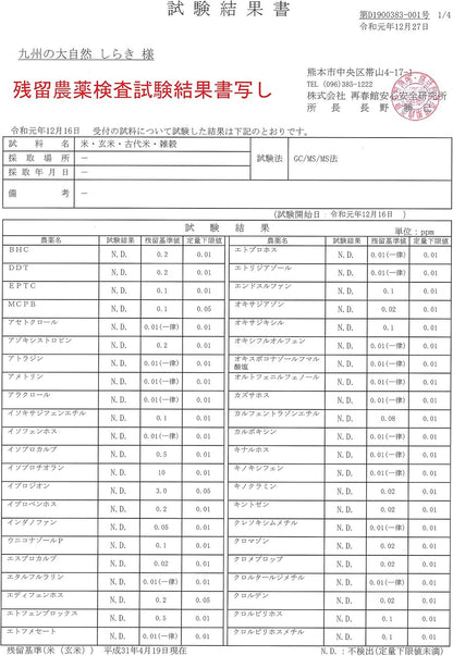 熊本県産 ヒノヒカリ 5kg 【 無洗米 】