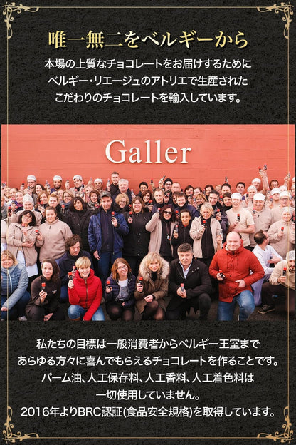 ガレー（Galler） クリスマス・お年賀・ギフト用（クッキー30枚入り・個包装・手さげ袋付き）
