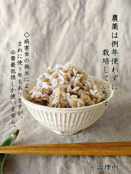 信州ファーム荻原 もち麦 ごはん 5kg 長野県 信州産 国産 精麦 食物繊維 大麦 もちもち