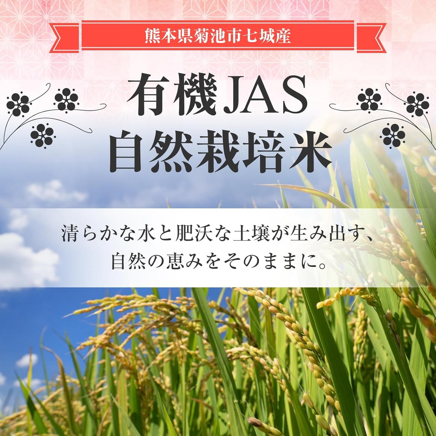 【もち麦,200g】ダイシモチ 有機JAS認証 熊本県産 β-グルカン 食物繊維 健康維持 満腹感 混ぜて炊くだけ オーガニック