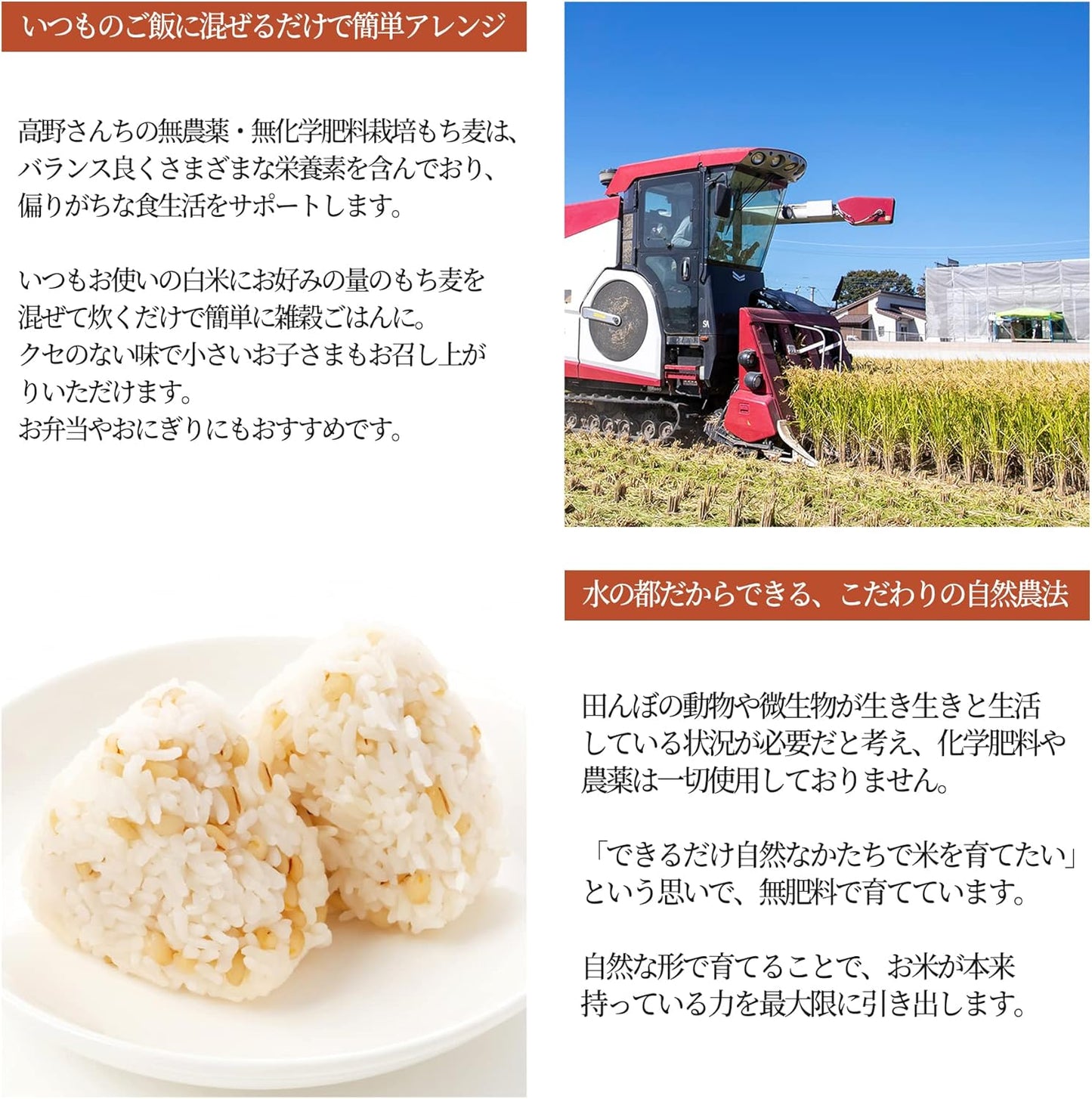 高野さんちの農産物 有機農場 高野さんちの無農薬・無化学肥料栽培もち麦 300g