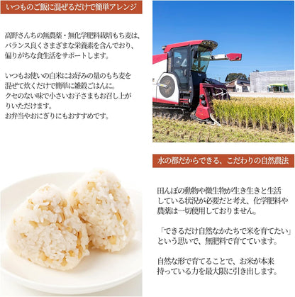 高野さんちの農産物 有機農場 高野さんちの無農薬・無化学肥料栽培もち麦 300g