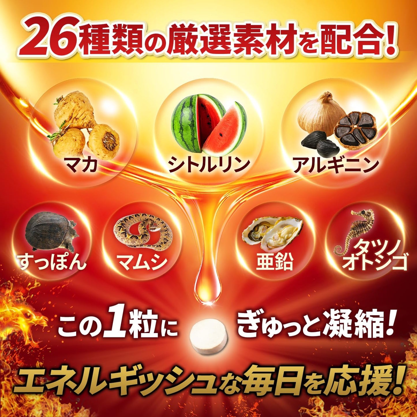 マカ100,000mg 日本製 30日分 GMP認定 ドラゴンマカ 亜鉛 シトルリン アルギニン TOKYOサプリ