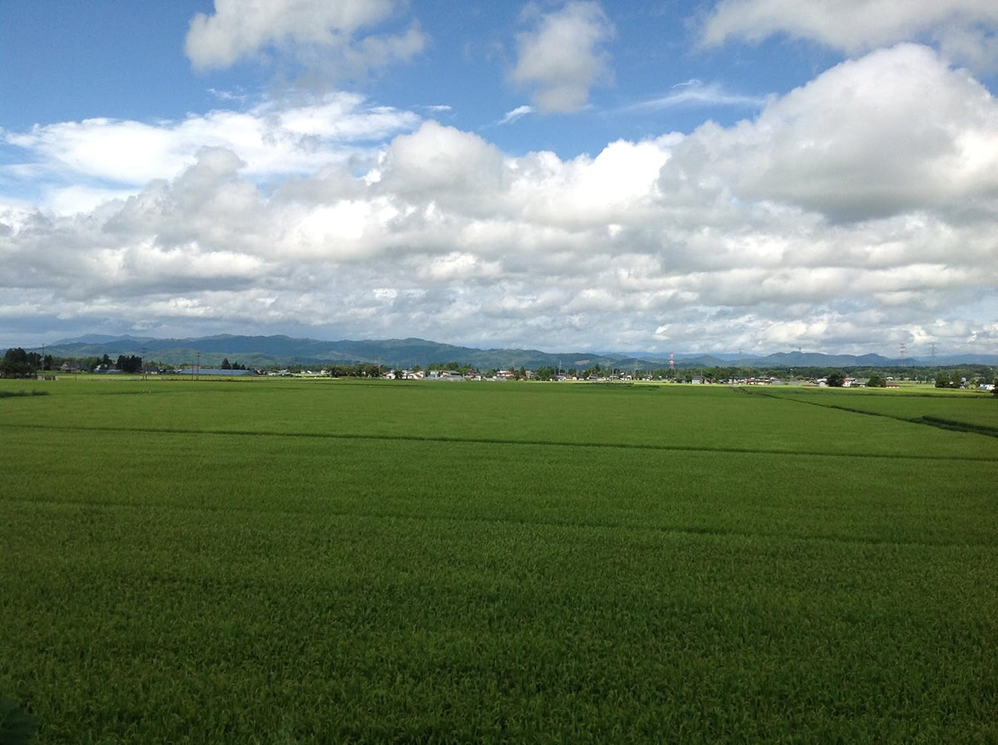 パールライス 山形県産 白米 つや姫 5kg 令和7年産
