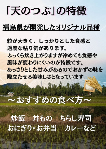 【精米】令和7年産 白米 米 福島県産天のつぶ白米
